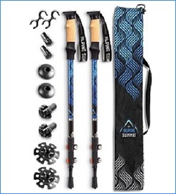 best trekking poles