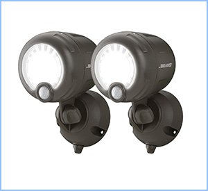 Mr. Beams outdoor LED spotlight