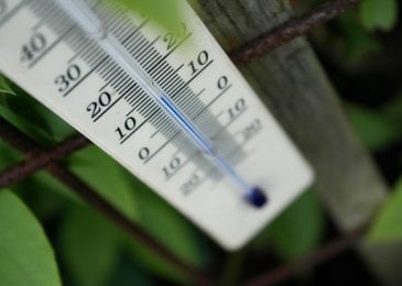 clouse up on a thermometer in between leaves seen from above 