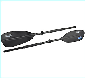 best shoreline marine kayak paddle