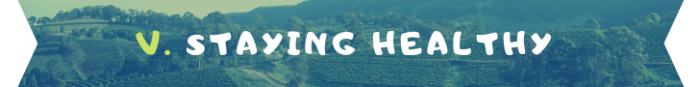 staying healthy banner 