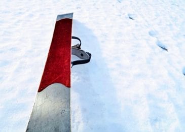 closeup on the tip of a ski
