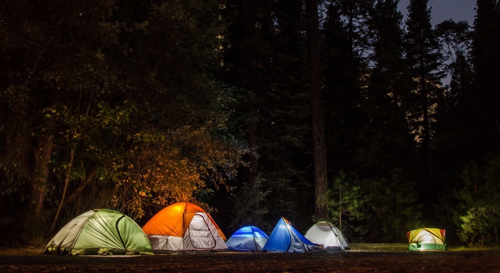 Lit camping tents in the forest