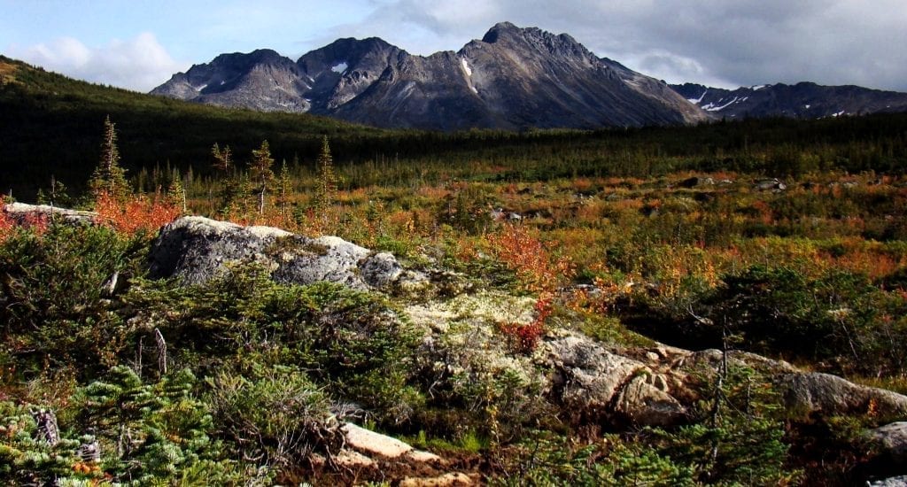 plains and mountains in northern british columbia 