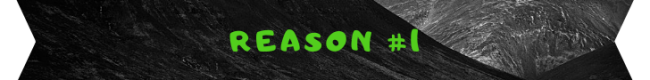 reason 1 banner 