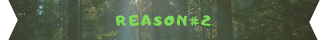 reason 2 banner 