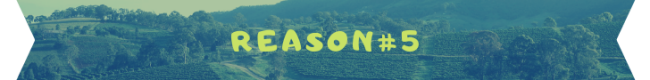 reason 5 banner 