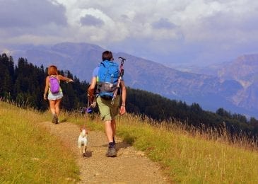 two people with a dog on a hiking trail in the mountains 