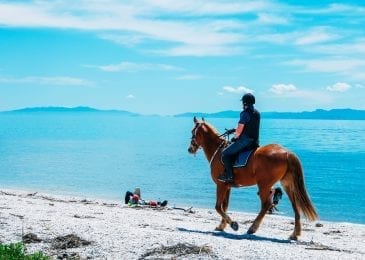 horse and horse rider on a beach 