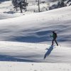 cross country skier on white snowy fields