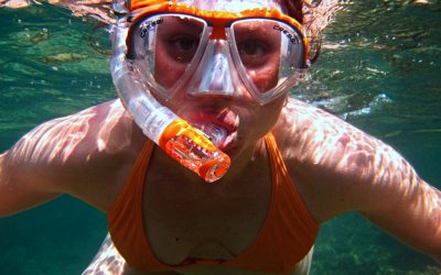 The 8 Best Snorkel Gear for Water Adventures | 2019
