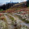 why fall is the best season for hiking