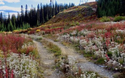 Why Fall is the Best Season for Hiking
