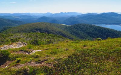Why I Did the Cape Scott Trail Instead of the West Coast Trail
