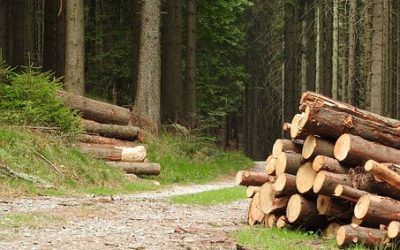 Resource Roads: A Controversial Issue You Need to Acknowledge