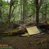 best bivy sack and tarp and tent in the woods